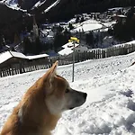 Alpenrose Vendégház Sankt Sigmund im Sellrain
