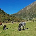 Alpenrose *