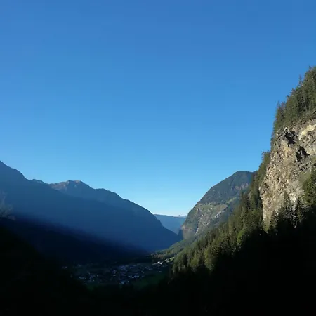 Alpenrose