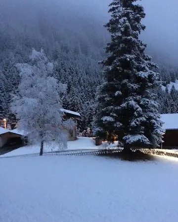 Alpenrose Guest house *
