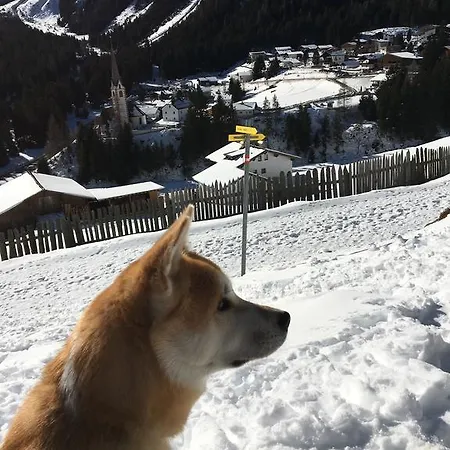 Alpenrose Konukevi Sankt Sigmund im Sellrain